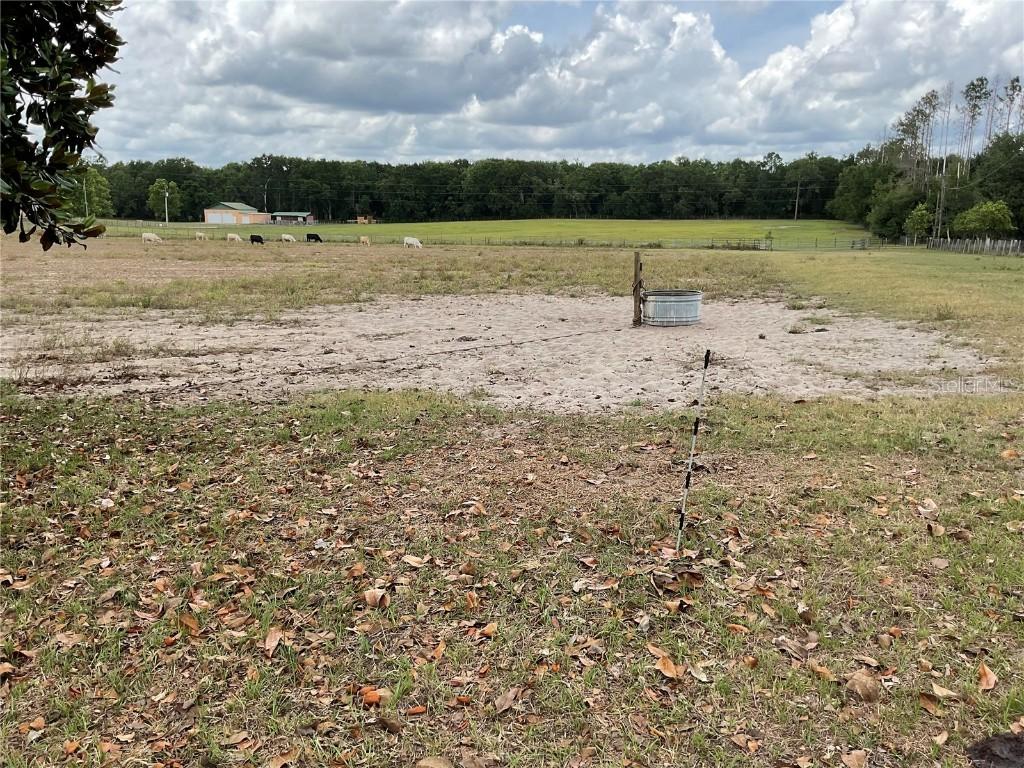 9750 NE 49th St., Bronson, FL 32621