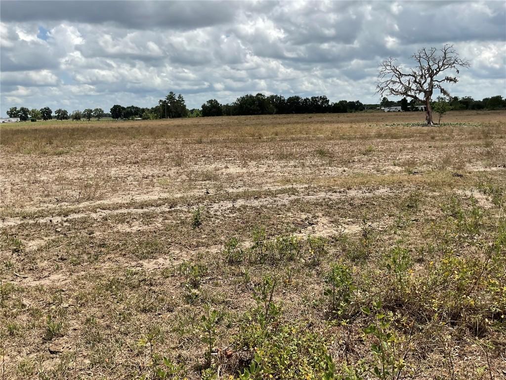 tbd NE 46th Land, Bronson, FL 32621