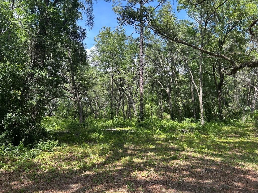 TBD (lot #25) SE 192nd Ct., Morriston, FL 32668
