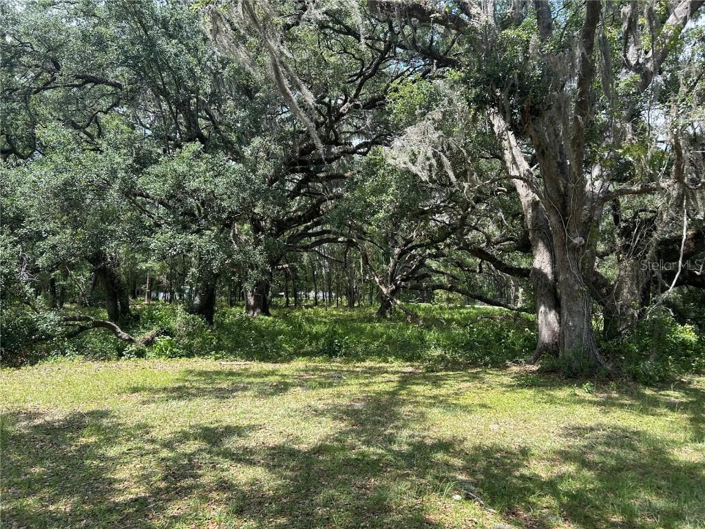 TBD (lot #25) SE 192nd Ct., Morriston, FL 32668