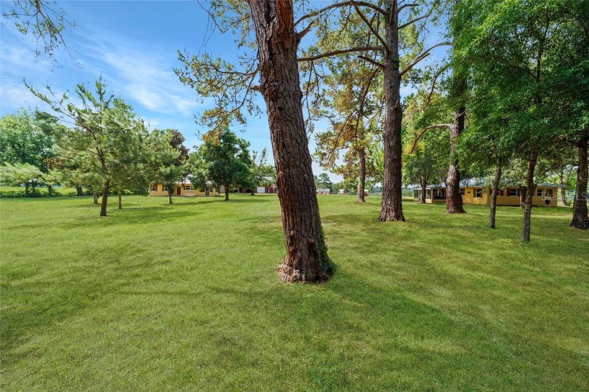 16520 NW 170th St., Williston, FL 32696