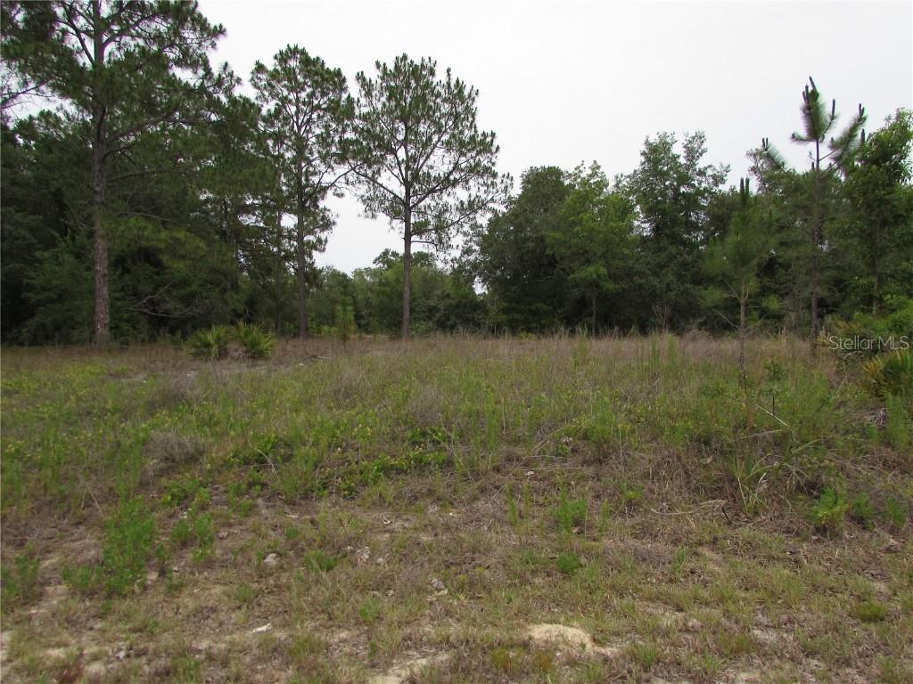 Lot 40 SW South Wind Ct., Dunnellon, FL 34431