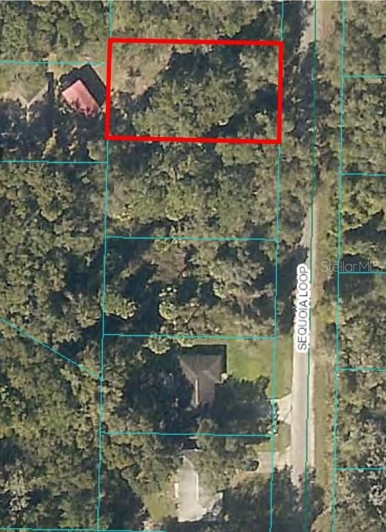 Sequoia Loop, Ocklawaha, FL 32179