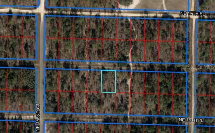 NE 16th Ln., Williston, FL 32696