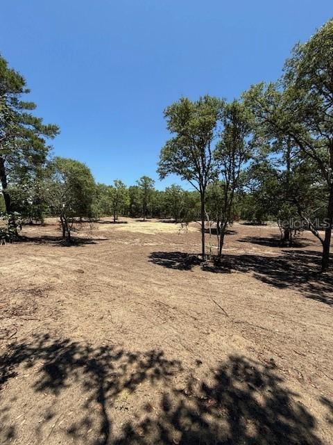 Se 148th Ave, Williston, FL 32696