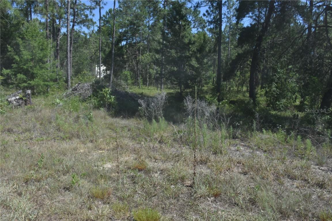 SE 6th Lane, Williston, FL 32696