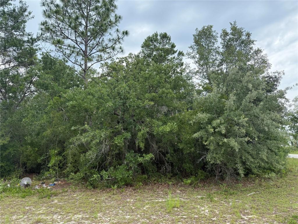 TBA SW 138th Ln., Ocala, FL 34473