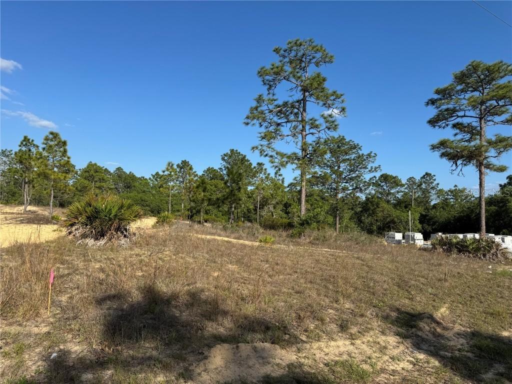 6597 N Grayton Ter., Dunnellon, FL 34433