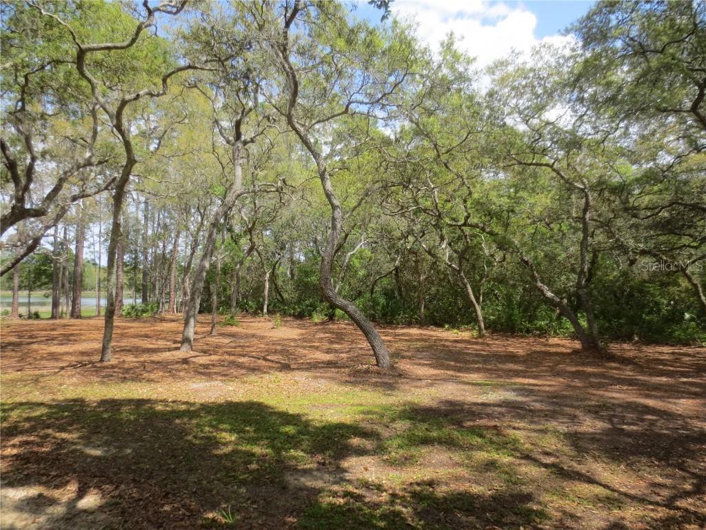 SE 10 St., Silver Springs, FL 34488