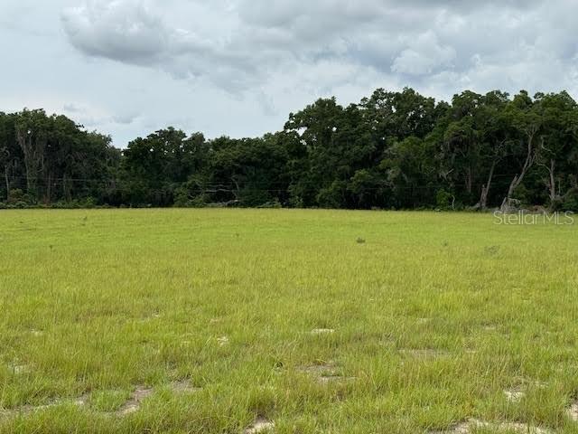 NE 141, Citra, FL 32113