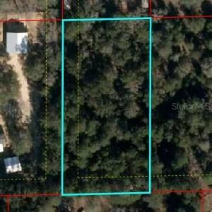 110, Bronson, FL 32621