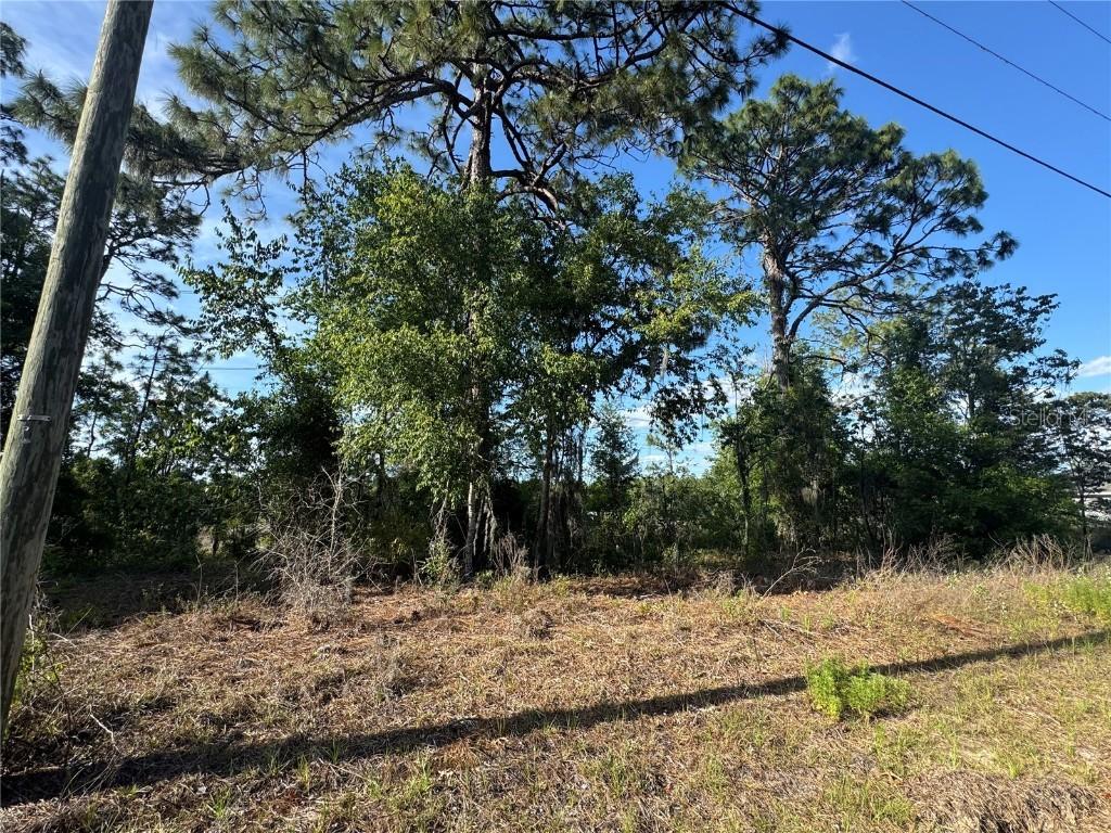 415 W Homeway Loop, Citrus Springs, FL 34434