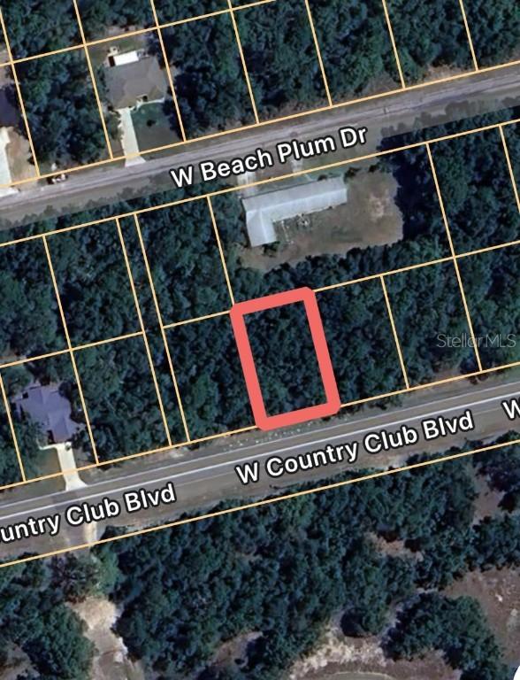 1567 W Country Club Blvd., Citrus Springs, FL 34434
