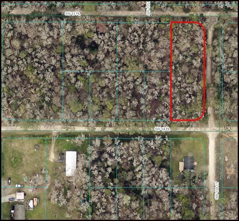 Tbd, Ocala, FL 34481