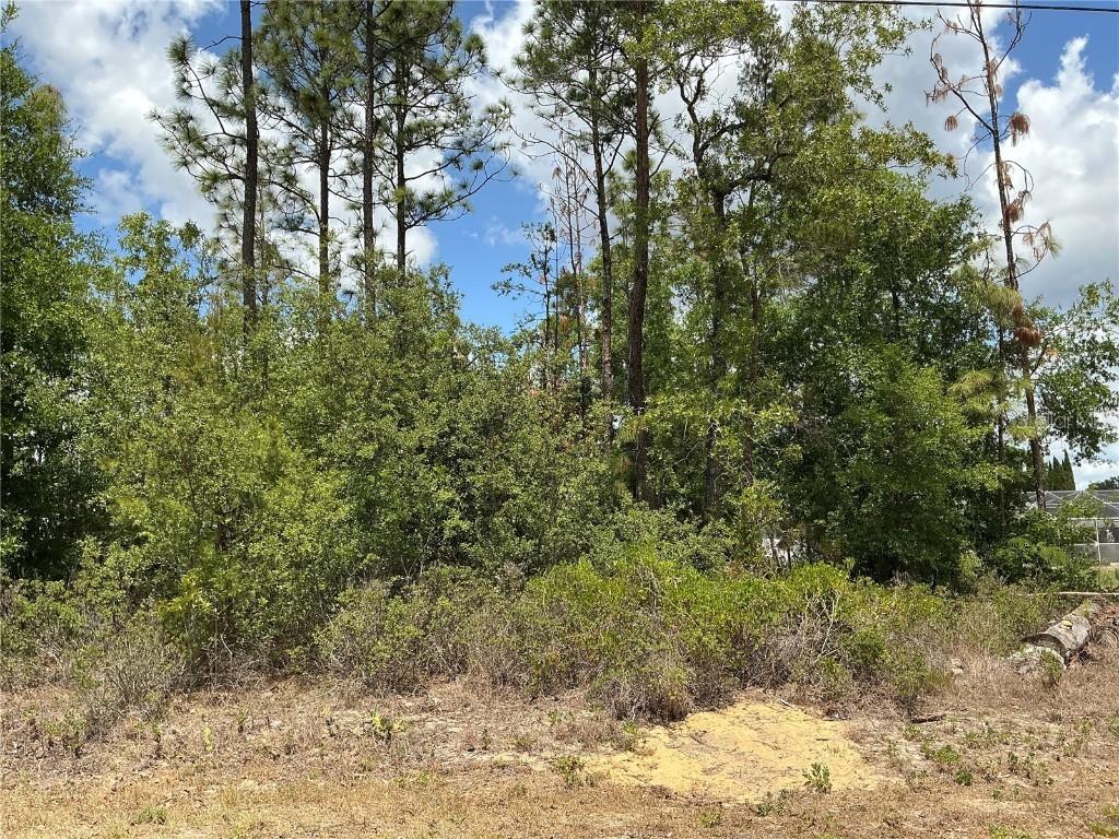 SE 160th Pl., Summerfield, FL 34491