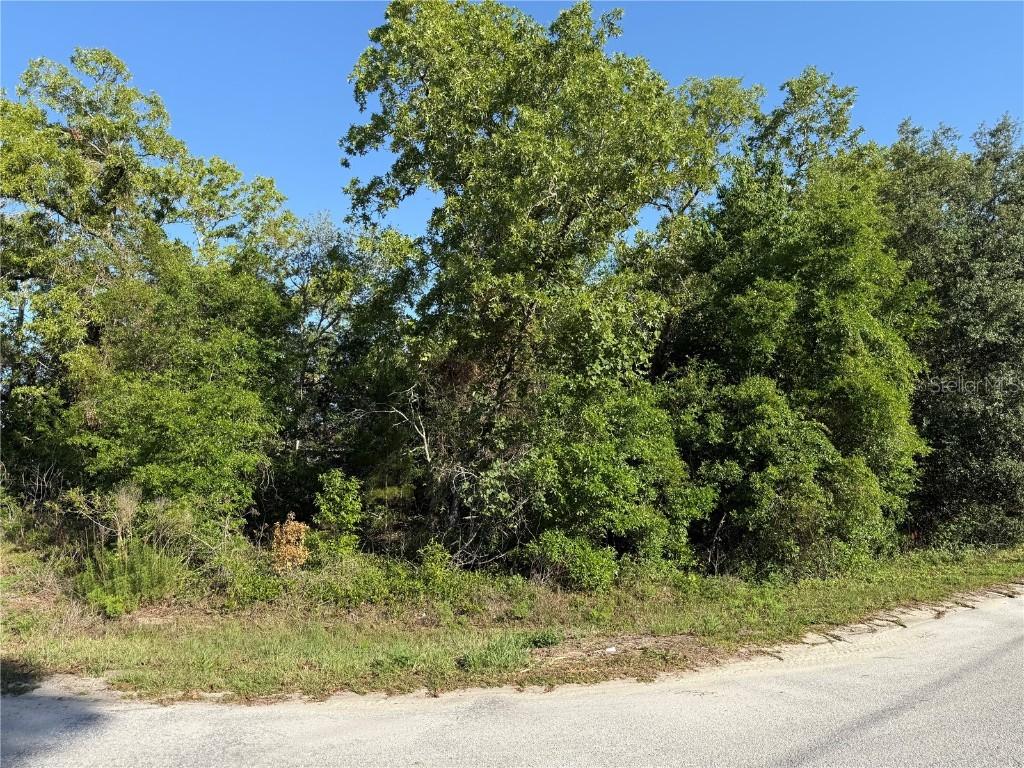 TBD SE 154th St., Summerfield, FL 34491