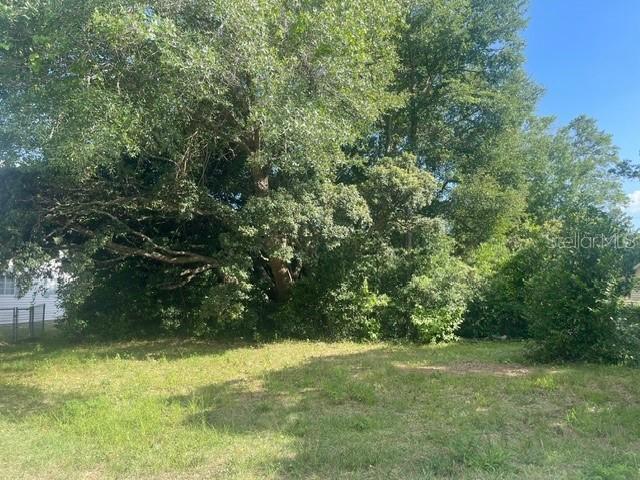 TBD SW 81st St., Dunnellon, FL 34431