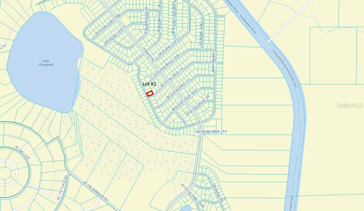 00 Sequoia Dr, Ocklawaha, FL 32179