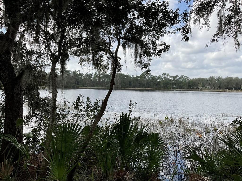 TBD Lot 51 Malauka Radial, Ocklawaha, FL 32179
