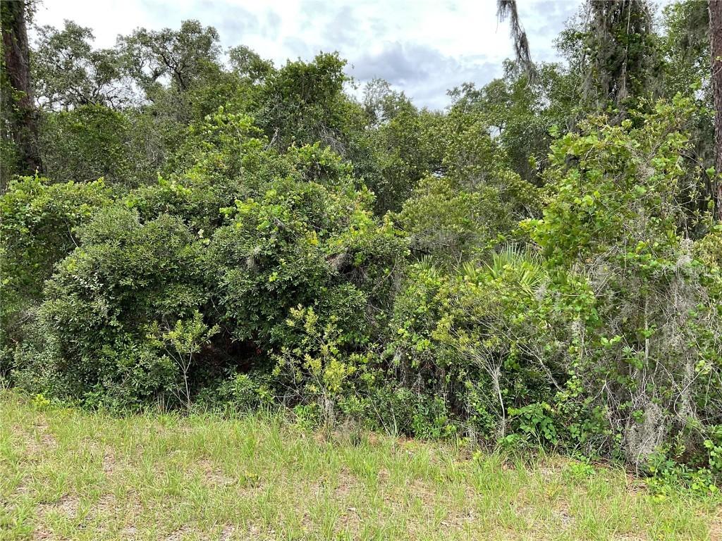TBD Lot 60 Malauka Radial, Ocklawaha, FL 32179