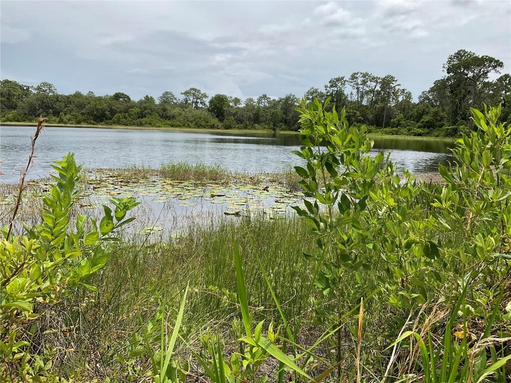 TBD Lot 58 Malauka Radial Tr., Ocklawaha, FL 32179