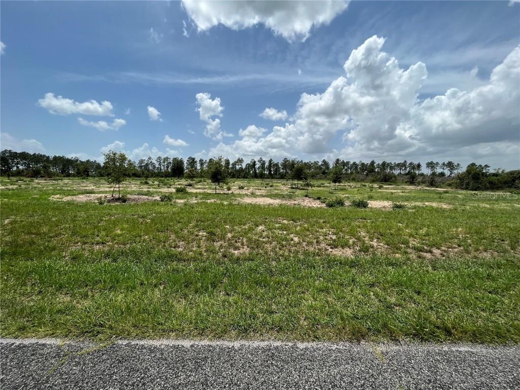 00000 SE 170th Ave., Weirsdale, FL 32195