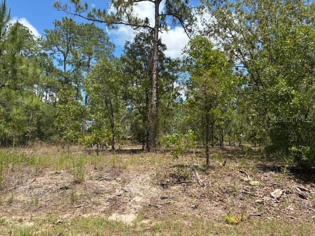 TBD SW Southview Ct., Dunnellon, FL 34431