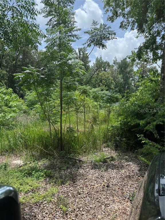 00 SE 61st Ct., Summerfield, FL 34491