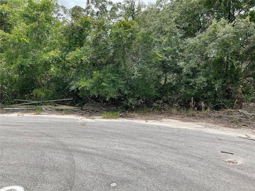 TBD Lots 55 & 57 Malauka Radial, Ocklawaha, FL 32179