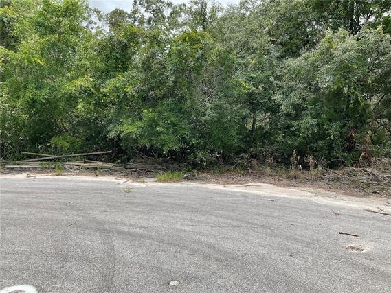 Homes Just Sold in Ocklawaha: June 24th to June 30th