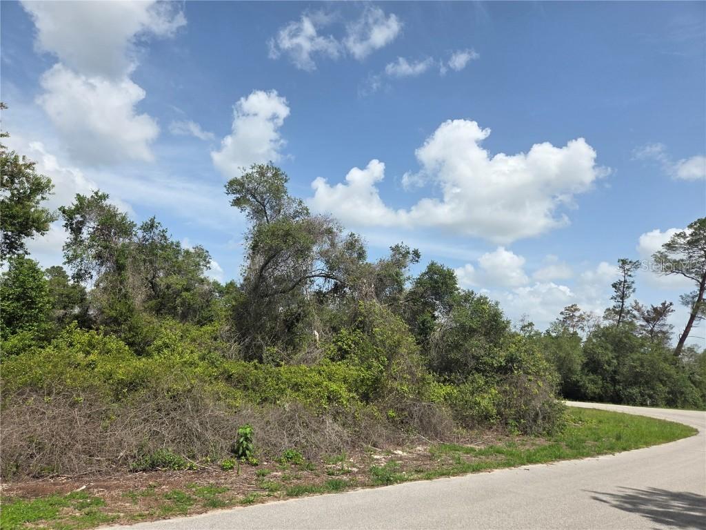 SW 153rd Loop, Ocala, FL 34473
