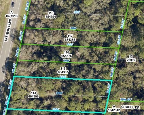 8380 Treiman Blvd., Webster, FL 33597
