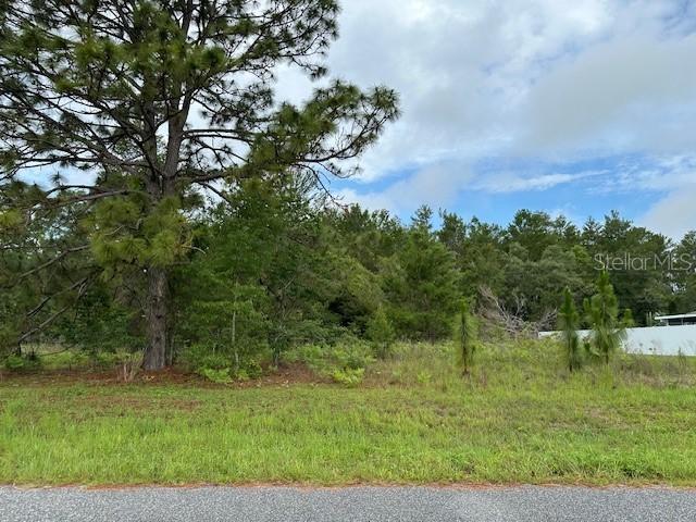 Lot 6 SW Sw 48 Court Road, Ocala, FL 34473