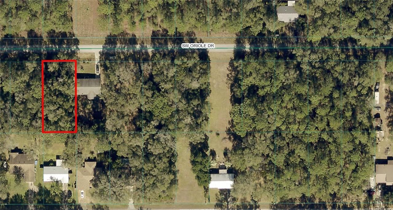 TBD SW Oriole Dr., Dunnellon, FL 34431