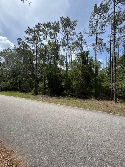 Sw 82nd Loop Loop, Dunnellon, FL 34431