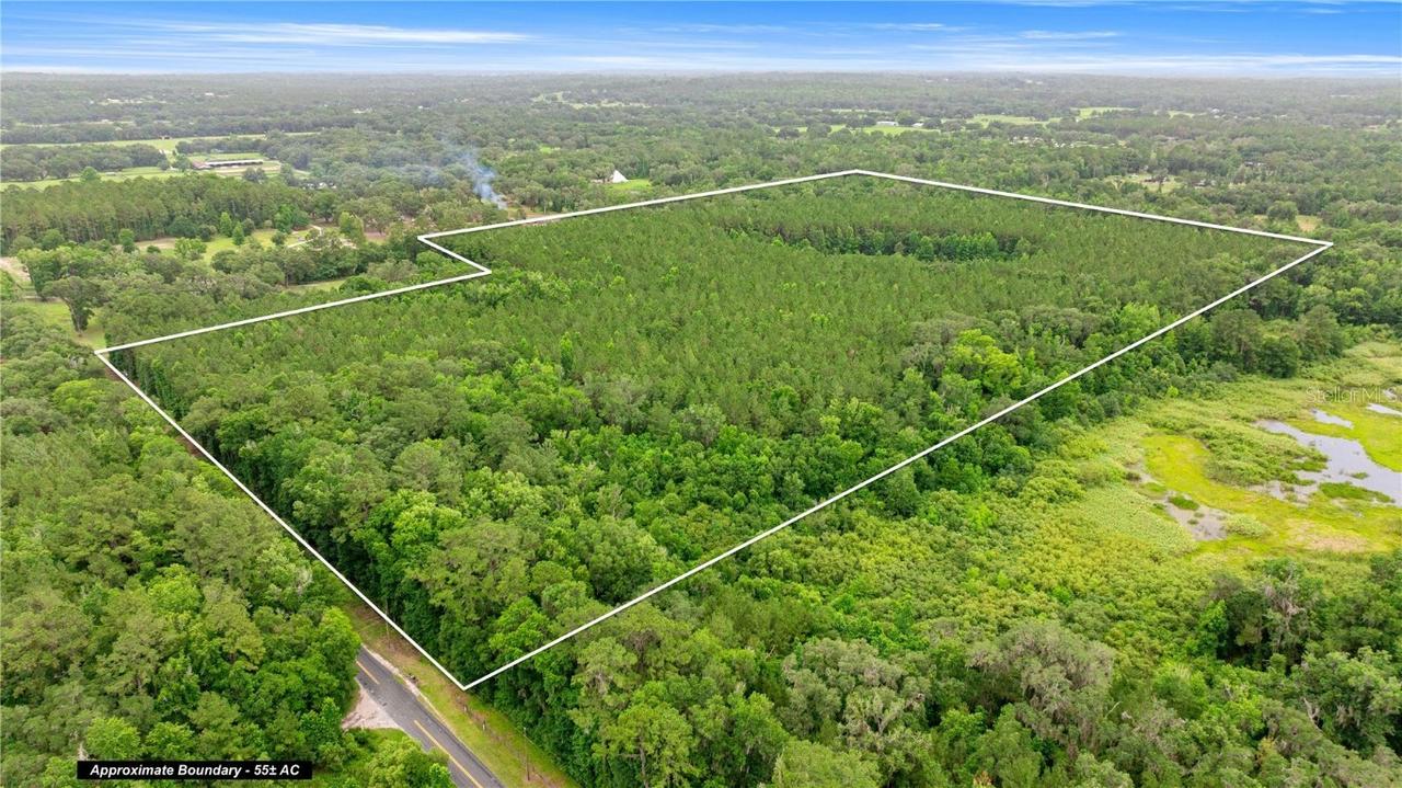 TBD NW 160th St, Reddick, FL 32686