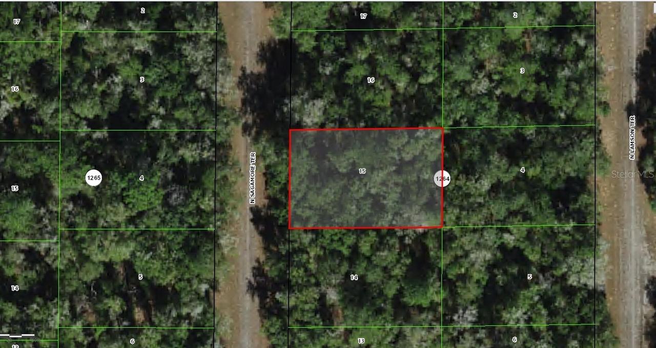 9381 N Sagamore Ter., Dunnellon, FL 34434