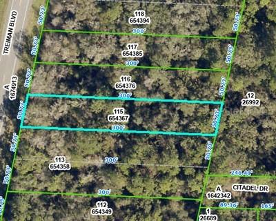 8388 Treiman Blvd., Webster, FL 33597