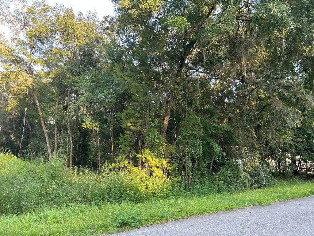 SE 101st Terrace, Belleview, FL 34420