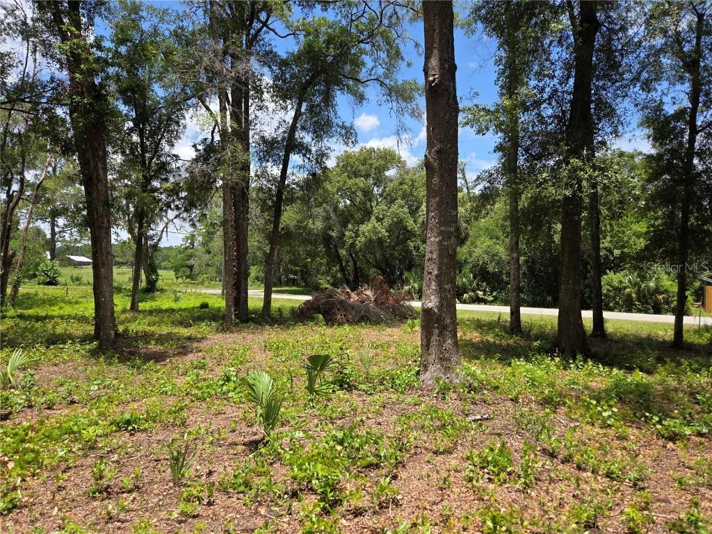 517 N Croft Ave., Inverness, FL 34453