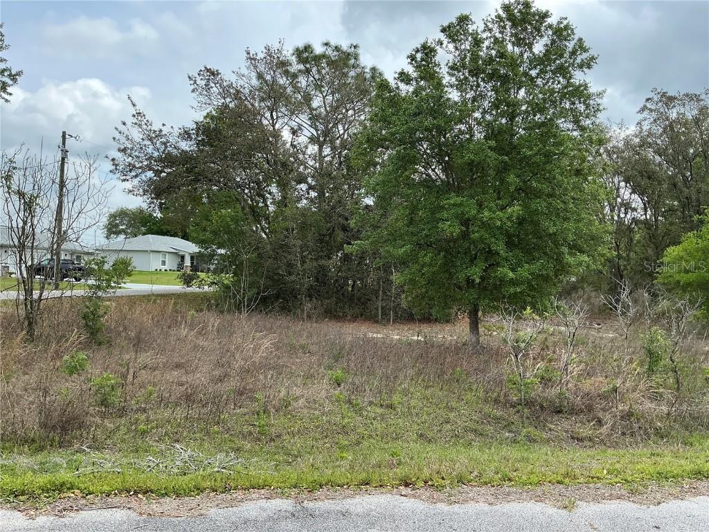 SE 152nd Ln., Summerfield, FL 34491