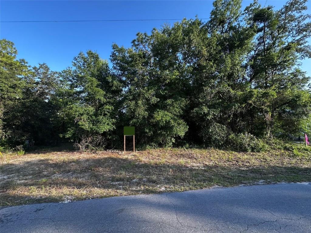 Country Club Drive, Williston, FL 32696