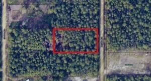 10705 Delgado Ave., Hastings, FL 32145