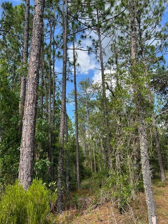 000 NE 138 Ave., Williston, FL 32696