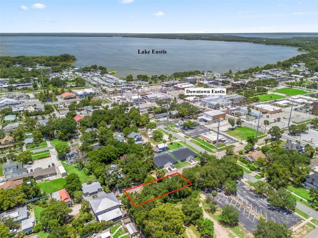Dewitt Ct., Eustis, FL 32726