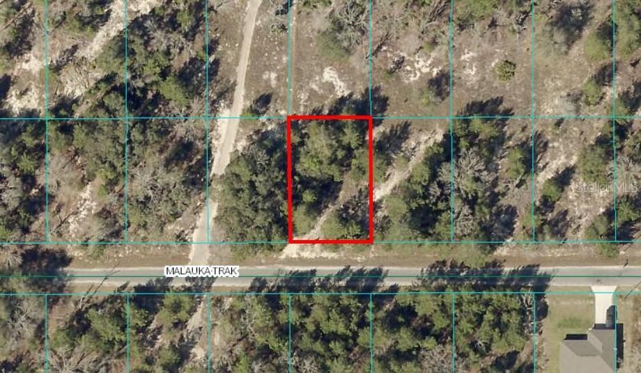TBD LOT 12 Malauka Track, Ocklawaha, FL 32179