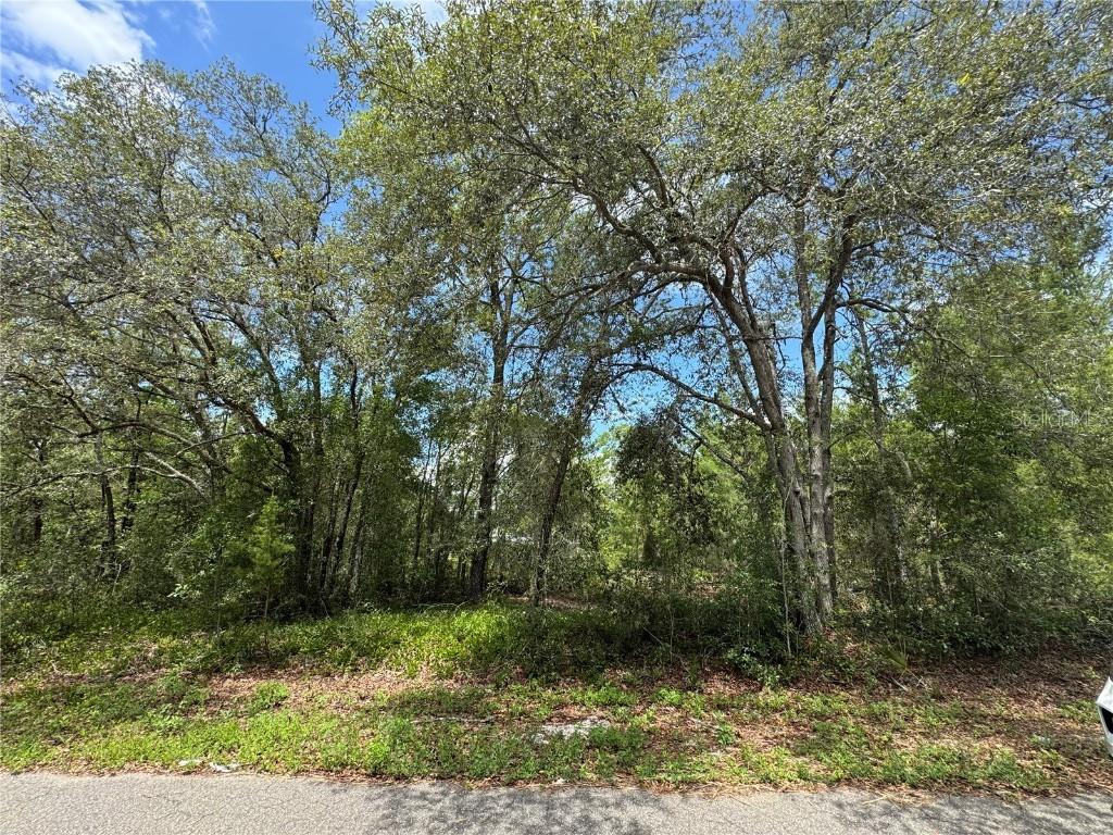 Fisher Lane Way #Lot #8, Ocklawaha, FL 32179