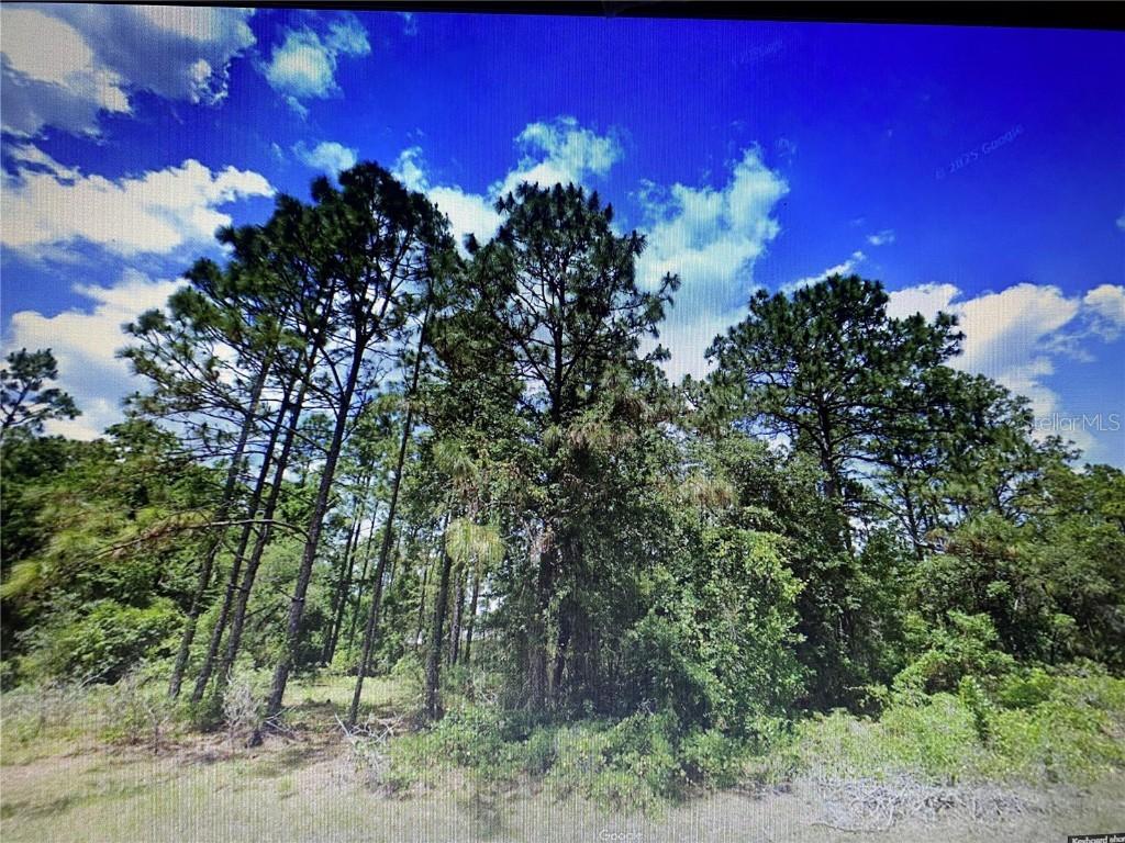 SW 135th Loop, Ocala, FL 34473