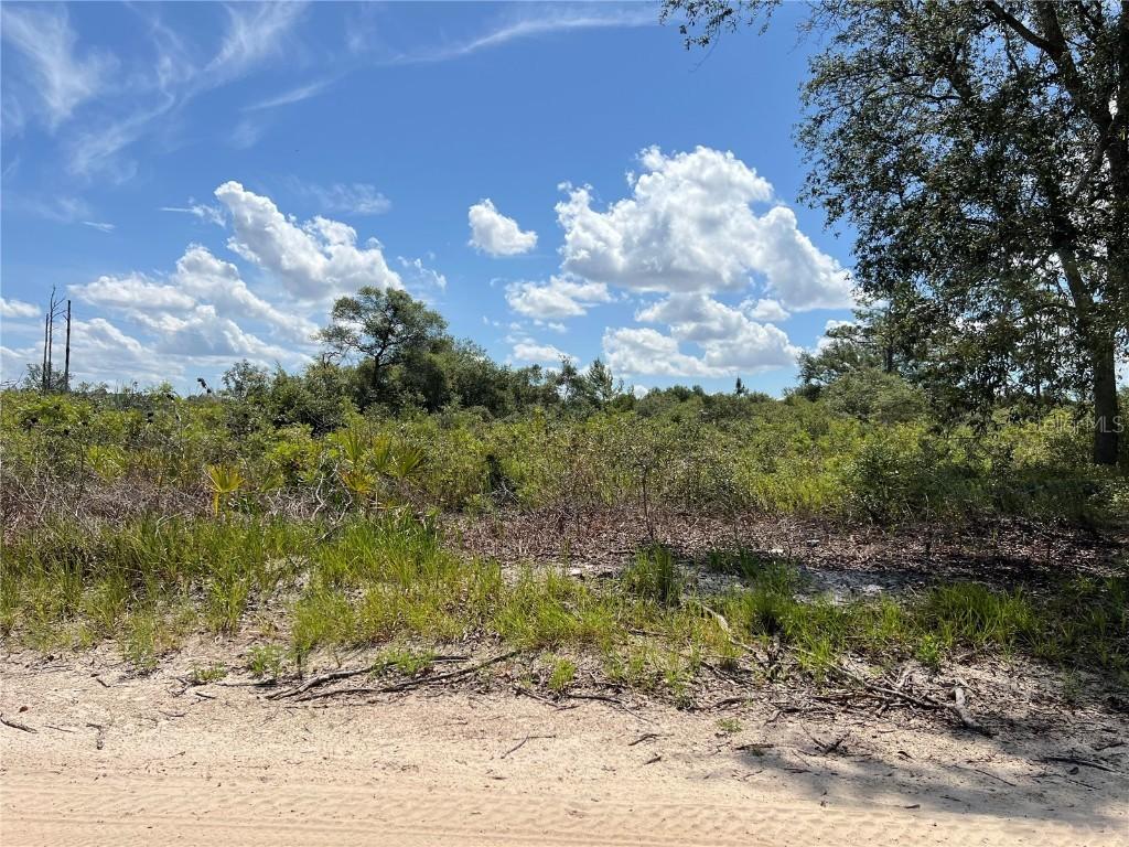 SW 157 Ln., Dunnellon, FL 34432