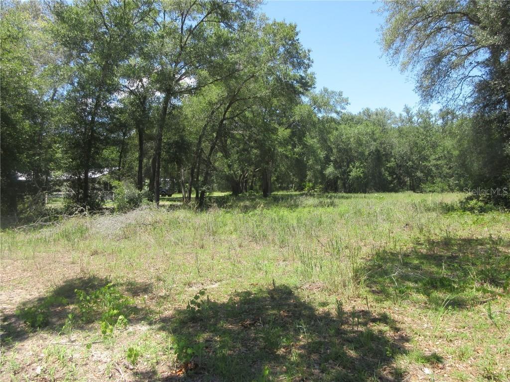 SE 161st Ct., Ocklawaha, FL 32179